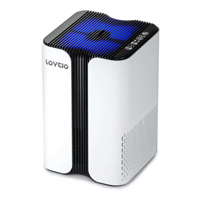 Loytio Small Air Purifiers for Home